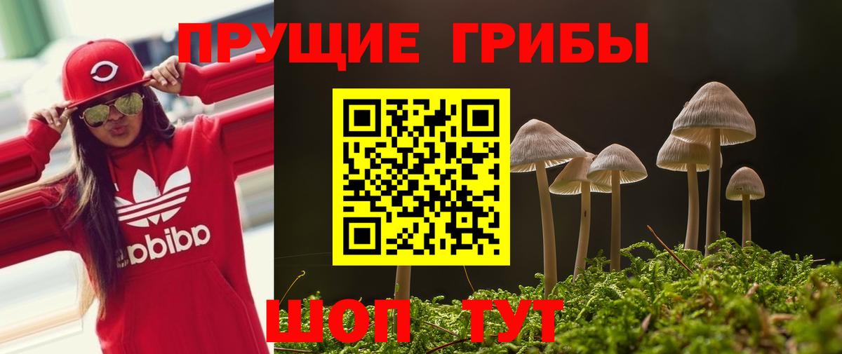закладка  Вход с VPN  Будённовск  Псилоцибиновые грибы мухоморы 