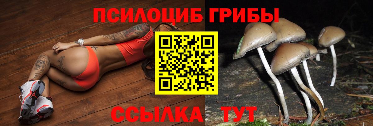 Галлюциногенные грибы Cubensis Будённовск